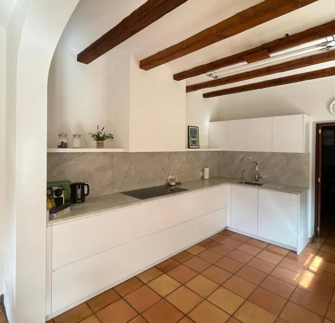 Ca'N Roega Villa Soller Holiday home
